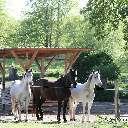 Im Art.quartier 公寓