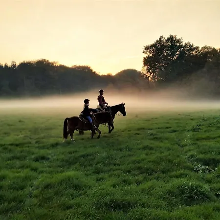 公寓 Im Art.quartier *