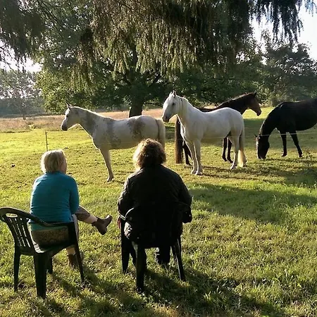 公寓 Im Art.quartier *