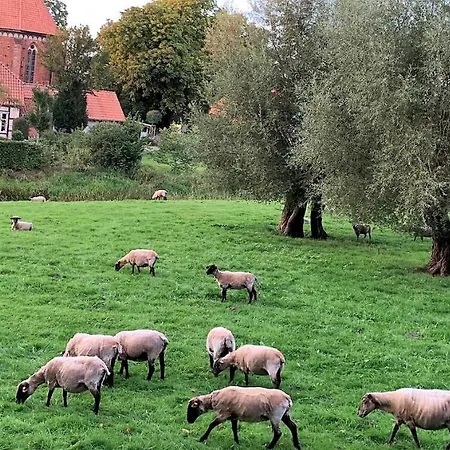 公寓 Im Art.quartier