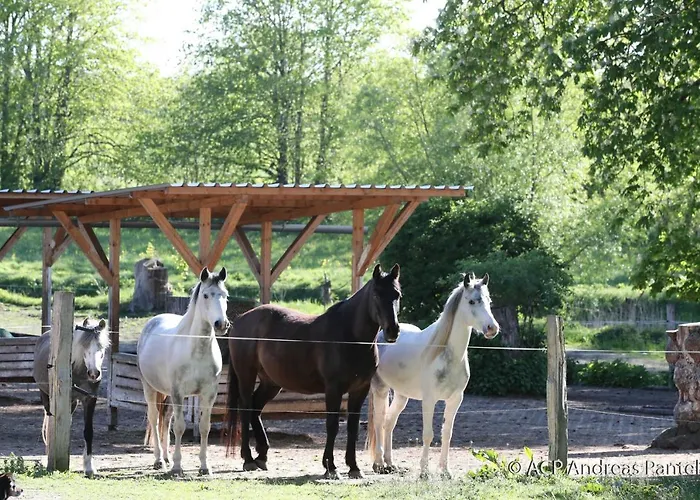 Im Art.quartier Apartamento